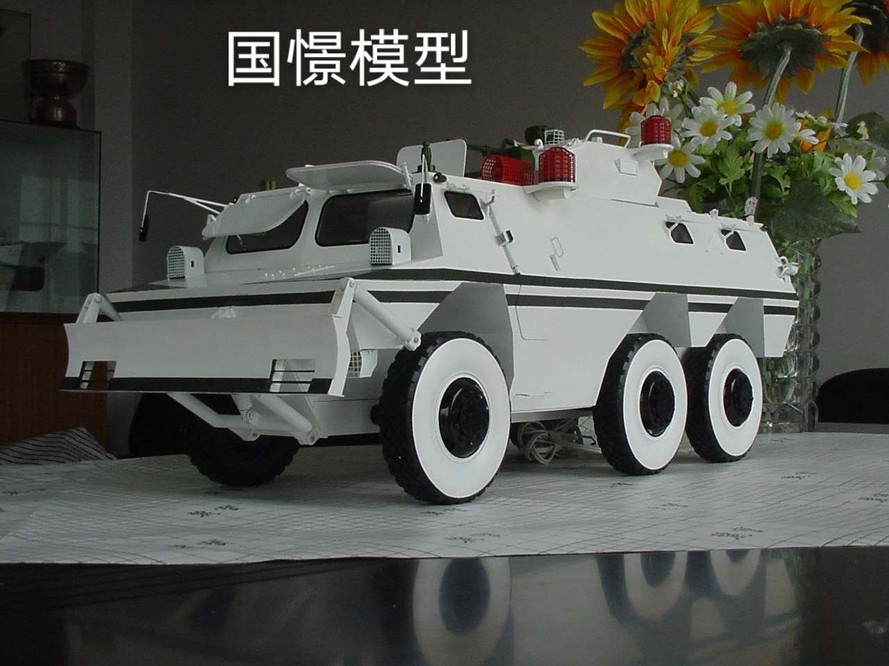 汾阳市军事模型